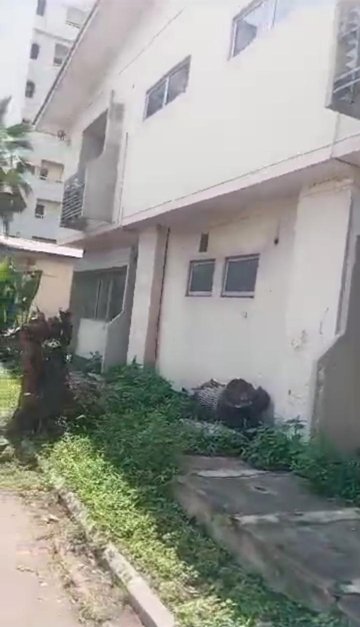 Premium Property in Old Ikoyi, Lagos