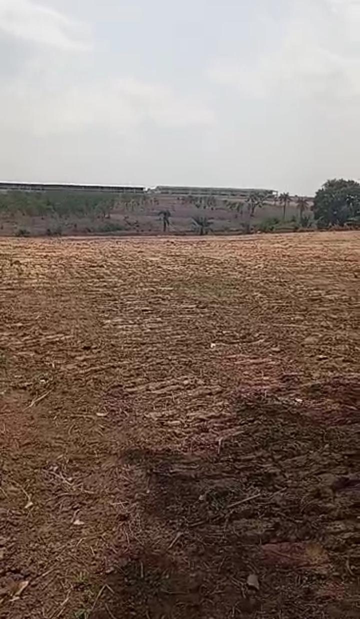 Site and Service in IDU