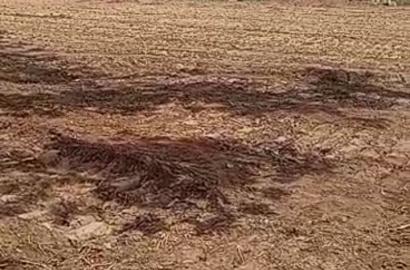 Site and Service in IDU