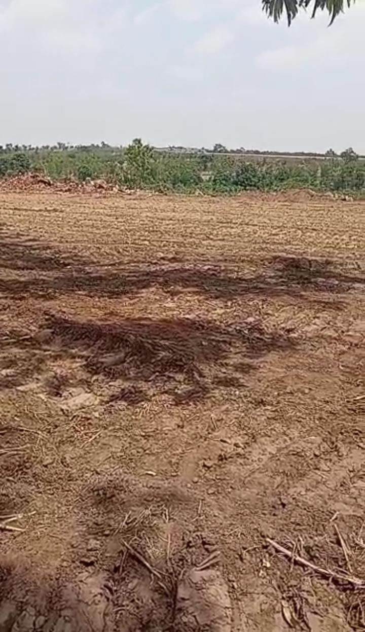 Site and Service in IDU